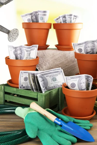 Business concept: growing money in the flowerpots and gardening tools on nature background — Stock Photo, Image