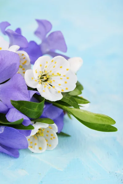 Piękny bukiet z barwinek kwiaty na stole niebieski — Zdjęcie stockowe