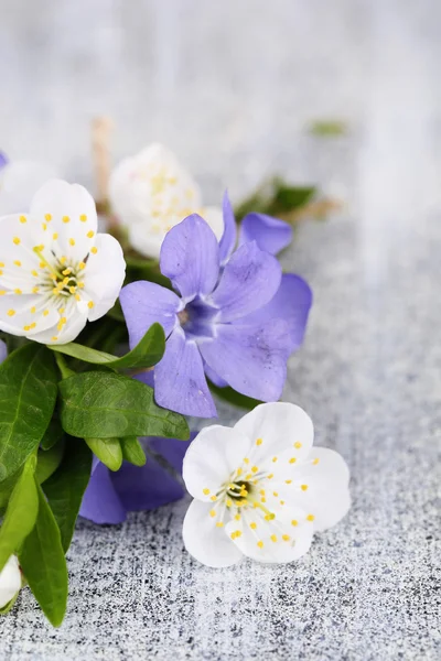 Vacker bukett med snäcka blommor på träbord — Stockfoto