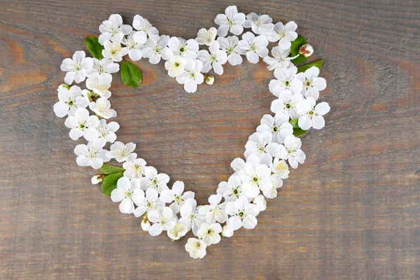 Beautiful cherry blossom on wooden background — Stock Photo, Image