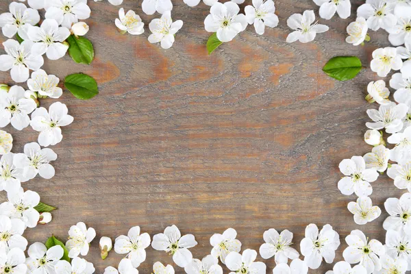 Hermosa flor de cerezo sobre fondo de madera —  Fotos de Stock
