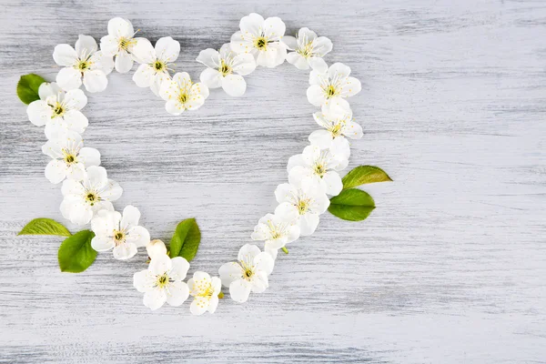 Beautiful cherry blossom on wooden background — Stock Photo, Image