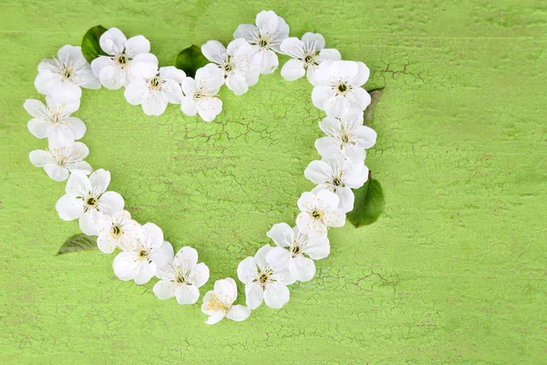 Beautiful cherry blossom on wooden background — Stock Photo, Image