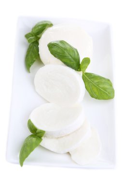 lezzetli mozzarella peyniri Fesleğenli plaka üzerinde beyaz izole