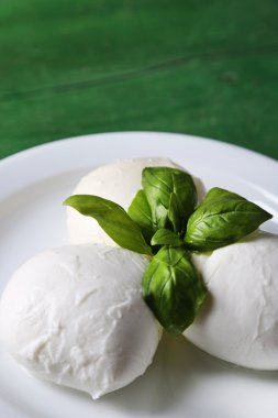 lezzetli mozzarella peyniri Fesleğenli ahşap zemin üzerinde plaka üzerinde