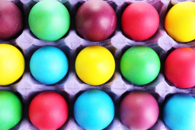 renkli Paskalya yumurtaları içinde tepsi yakın çekim