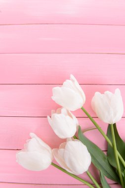 Tablo yakın çekim kovanın içinde güzel laleler