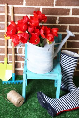 sulama olabilir ve yağmur botları parlak arka plan üzerinde renkli Lale bileşimi