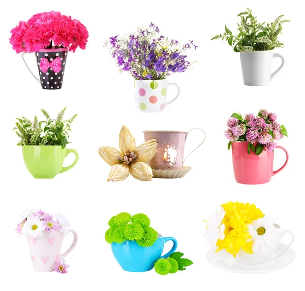 Collage av koppar med blommor — Stockfoto