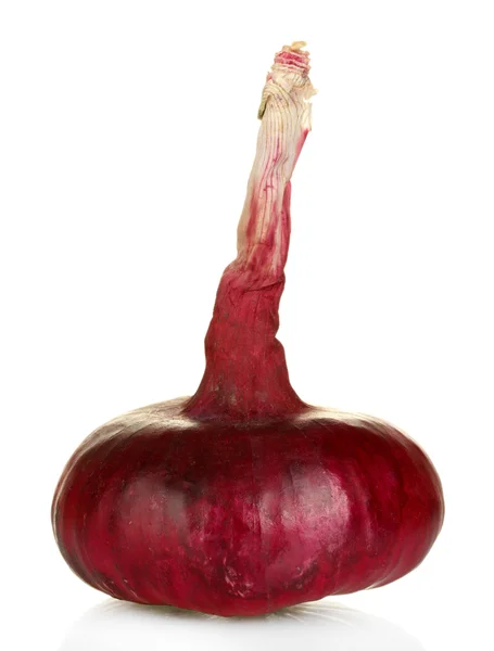 Cebolla roja aislada sobre fondo blanco — Foto de Stock