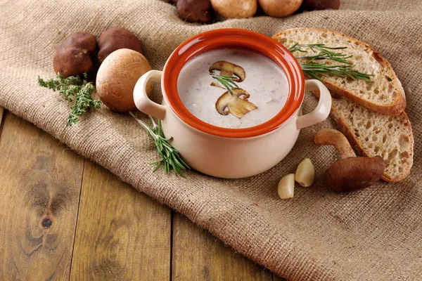 Mushroom soup — Stock Photo, Image