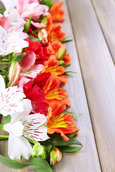 Beautiful Alstroemeria flowers on wooden table — Stock Photo, Image