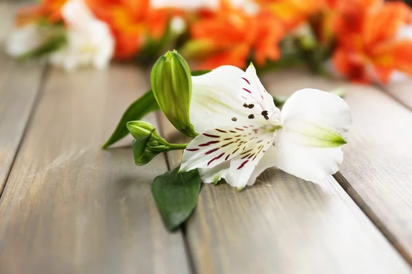 Mooie alstroemeria bloemen op houten tafel — Stockfoto