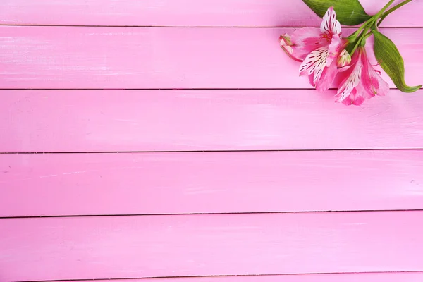 Bellissimi fiori di Alstroemeria sul tavolo di legno — Foto Stock