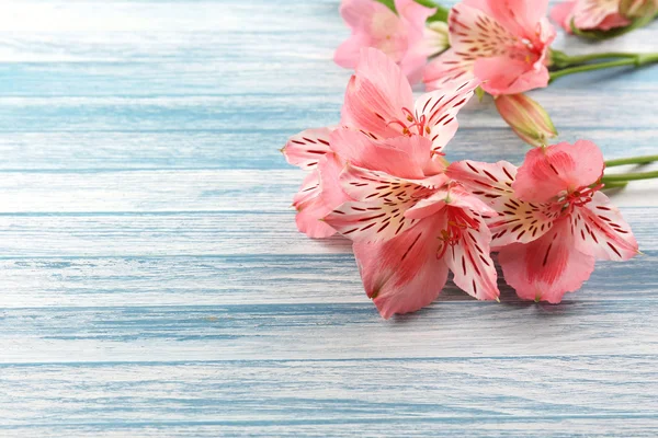 Lindas flores Alstroemeria na mesa de madeira — Fotografia de Stock