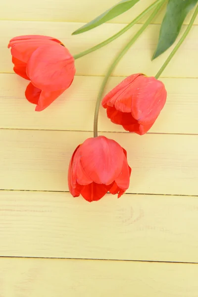 Hermosos tulipanes en cubo en primer plano de la mesa —  Fotos de Stock