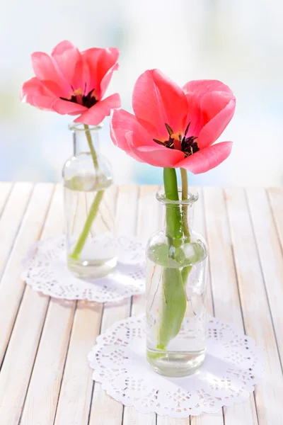 Bei tulipani in secchio in vaso sul tavolo su sfondo chiaro — Foto Stock