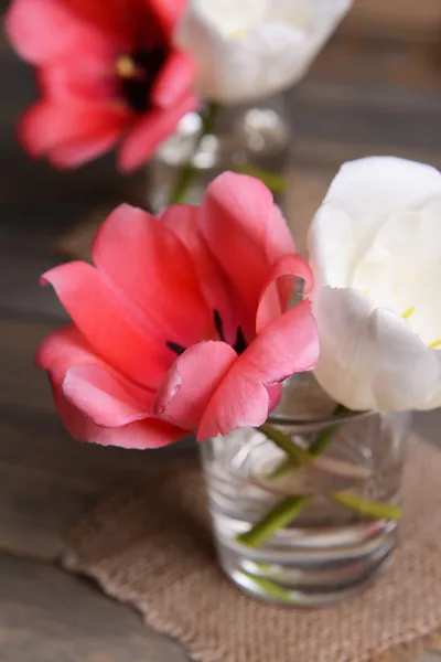 Piękne tulipany w wiaderku w wazonie na stole na szarym tle — Zdjęcie stockowe