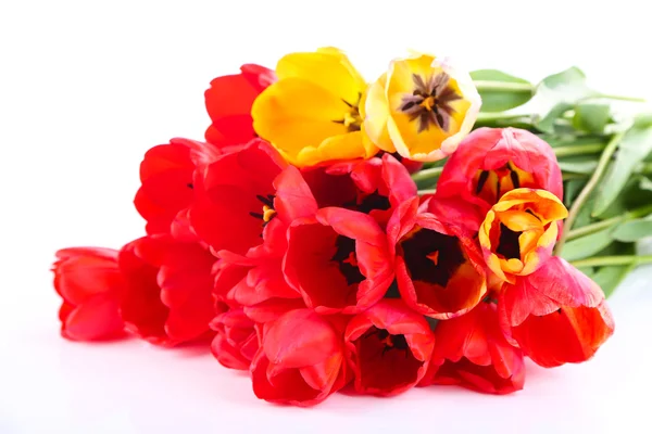 Colorful tulips isolated on white — Stock Photo, Image