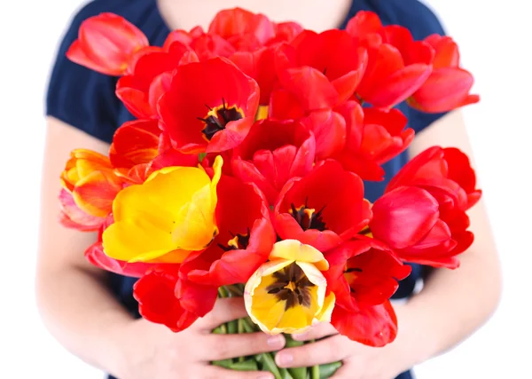 Colorful tulips in female hands isolated on white — Stock Photo, Image