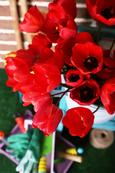 Komposition aus bunten Tulpen in Gießkanne und Gartengeräten auf hellem Hintergrund — Stockfoto