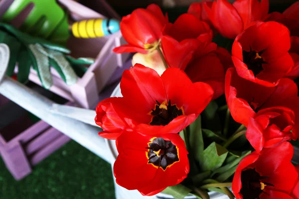 Komposition aus bunten Tulpen in Gießkanne und Gartengeräten auf hellem Hintergrund — Stockfoto