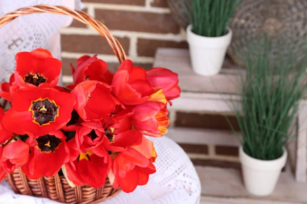 Strauß bunter Tulpen im Weidenkorb, auf Stuhl, auf dem heimischen Innenhintergrund — Stockfoto