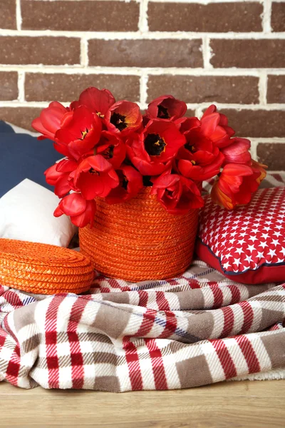 Bunte Tulpen mit Karo und Kissen auf hellem Hintergrund — Stockfoto