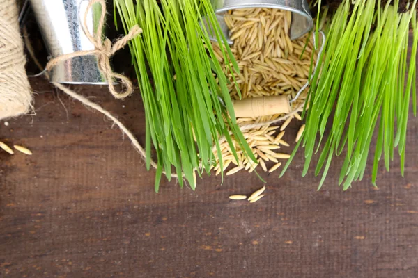 Πράσινο γρασίδι σε γλάστρες και σπόρους βρώμης, σε ξύλινο φόντο — Φωτογραφία Αρχείου