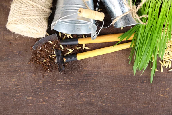 Hierba verde en macetas y herramientas de jardinería, sobre fondo de madera —  Fotos de Stock