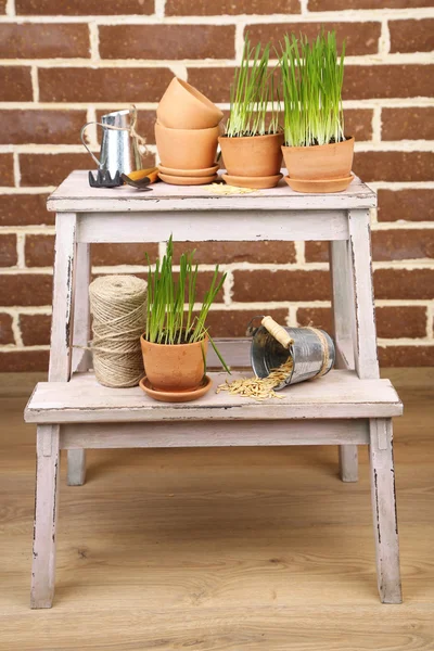Grama verde em vasos de flores e ferramentas de jardinagem no fundo da parede de tijolo — Fotografia de Stock