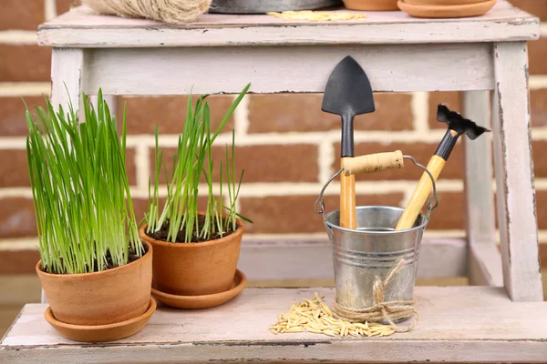 Green grass in flowerpots and gardening tools on brick wall background — Stock Photo, Image