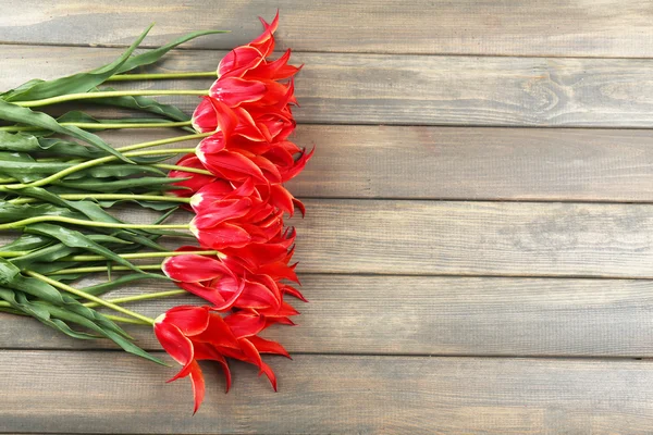 Røde tulipaner - Stock-foto