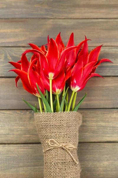 Red tulips — Stock Photo, Image