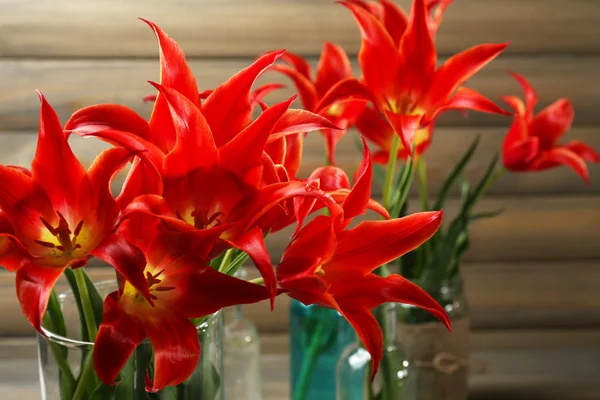 Red tulips — Stock Photo, Image