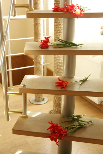 Rode tulpen op houten ladder — Stockfoto