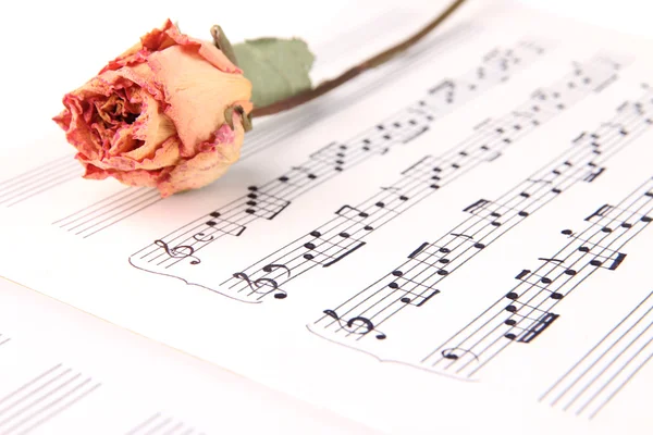 Gedroogde rose op muziek boek — Stockfoto