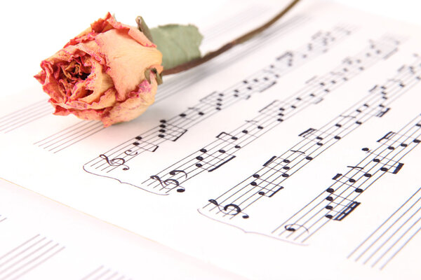Dried rose on music book