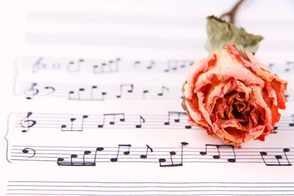 Gedroogde rose op muziek boek — Stockfoto