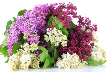 Eflatun çiçekler çok güzel