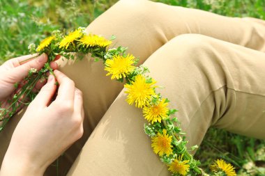 dandelions, çelenk yakın çekim 