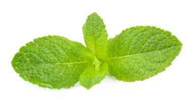 Beyazda izole edilmiş nane