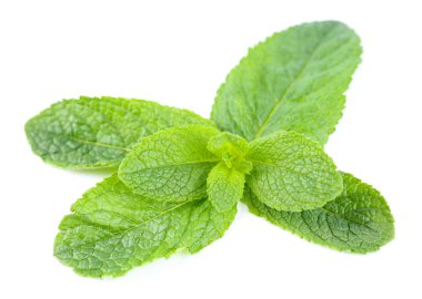 Beyazda izole edilmiş nane