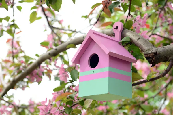 Casita de pájaros — Foto de Stock