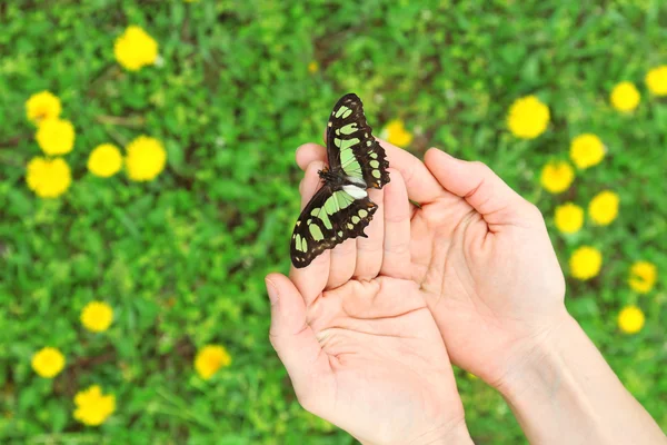 Schöner Schmetterling auf Händen — Stockfoto