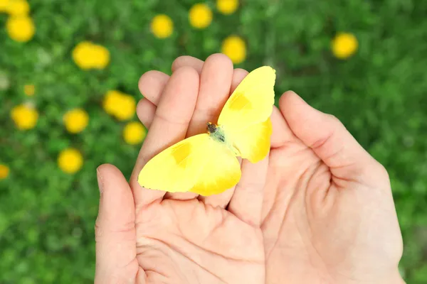 Bella farfalla sulle mani — Foto Stock