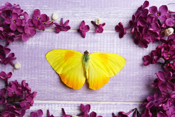 美しいライラック色の花と蝶の木製の背景 — ストック写真