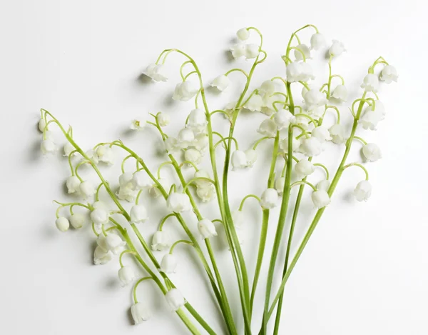 Vakre liljer i dalen, isolert på hvit – stockfoto