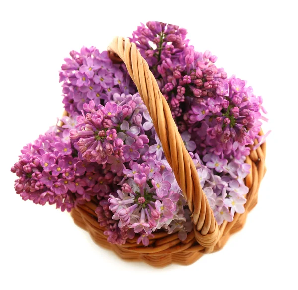 Beautiful lilac flowers in wicker basket, isolated on white — Stock Photo, Image
