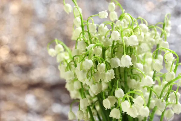 Mooie lelies van de vallei op aard achtergrond — Stockfoto